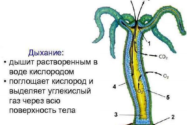 Что случилось с кракеном маркетплейс