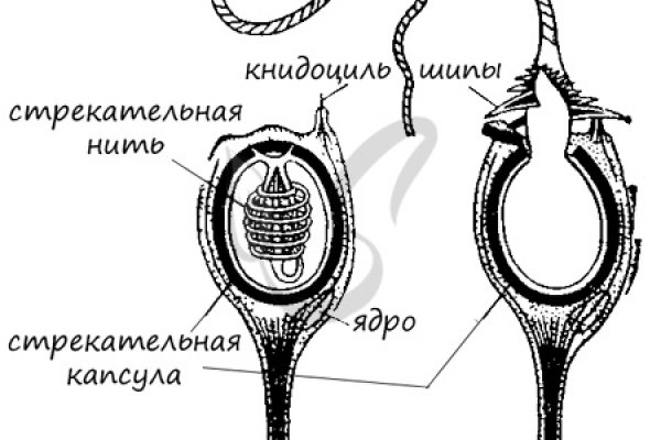 Не могу зайти на кракен